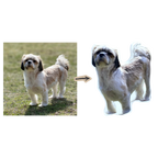 Custom Shape Pillow – Turn Any Photo Into a Personalized Pillow