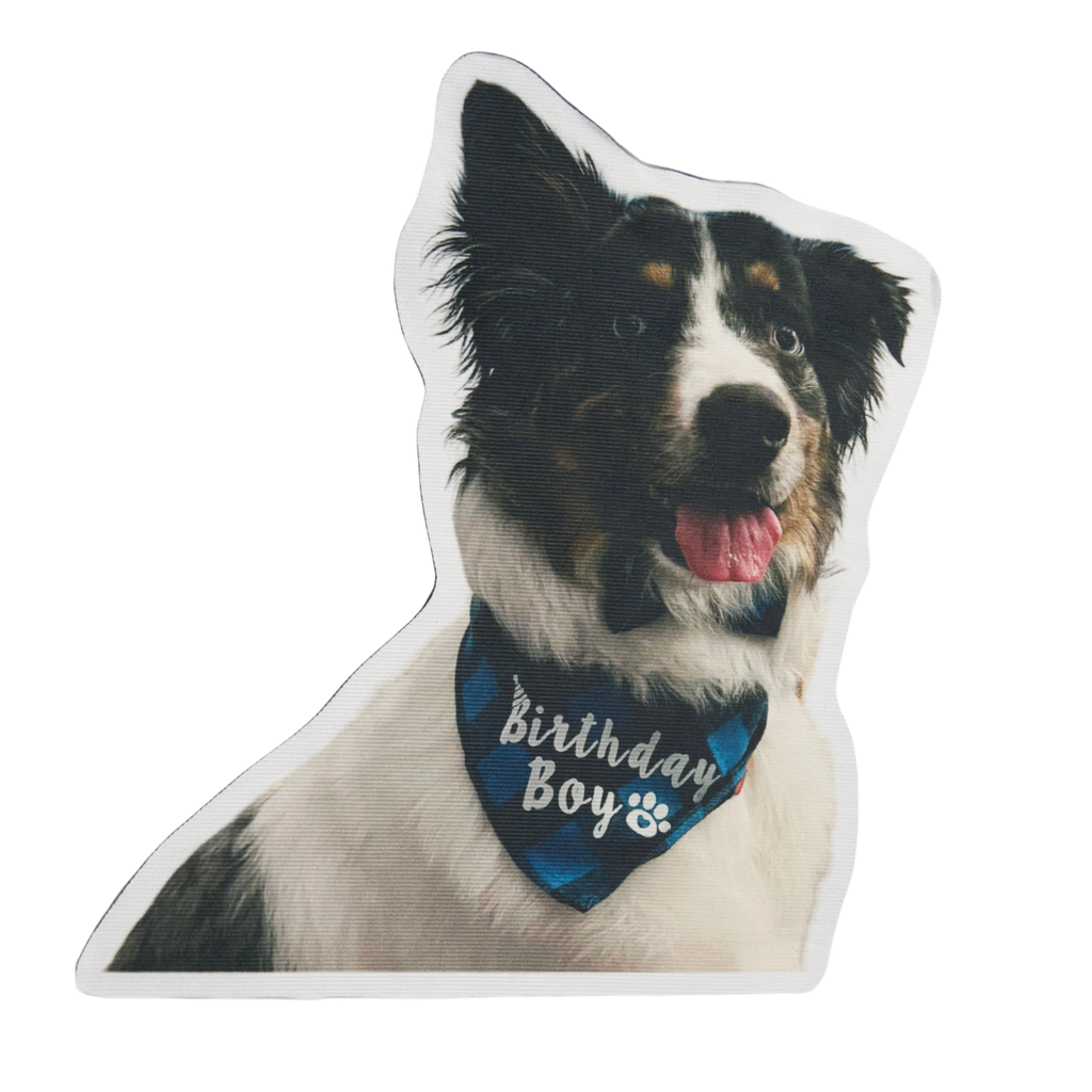 Custom Photo Mat – Turn Your Favorite Picture Into a Personalized Floor Mat