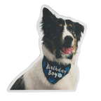 Custom Photo Mat – Turn Your Favorite Picture Into a Personalized Floor Mat