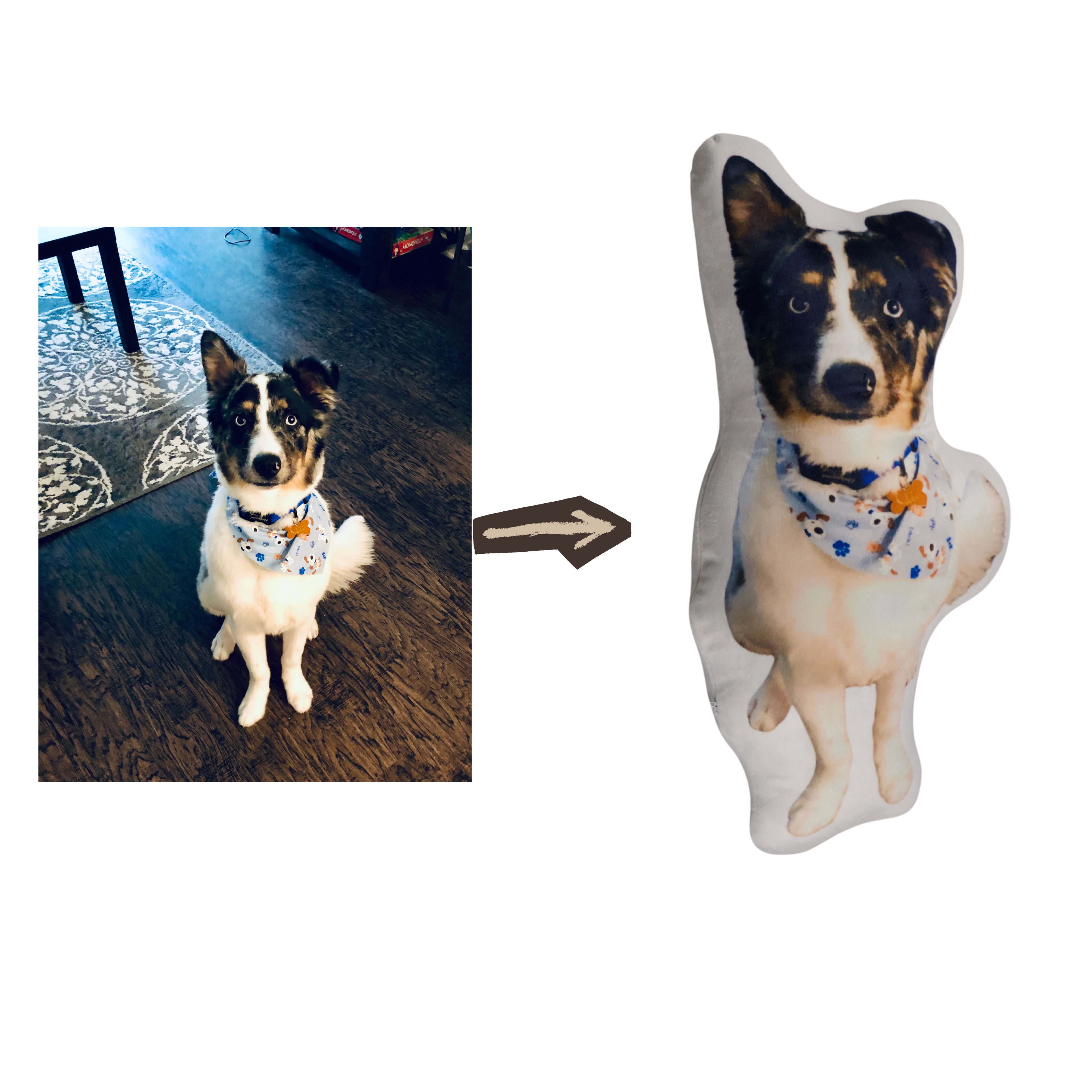 Custom Shape Pillow – Turn Any Photo Into a Personalized Pillow