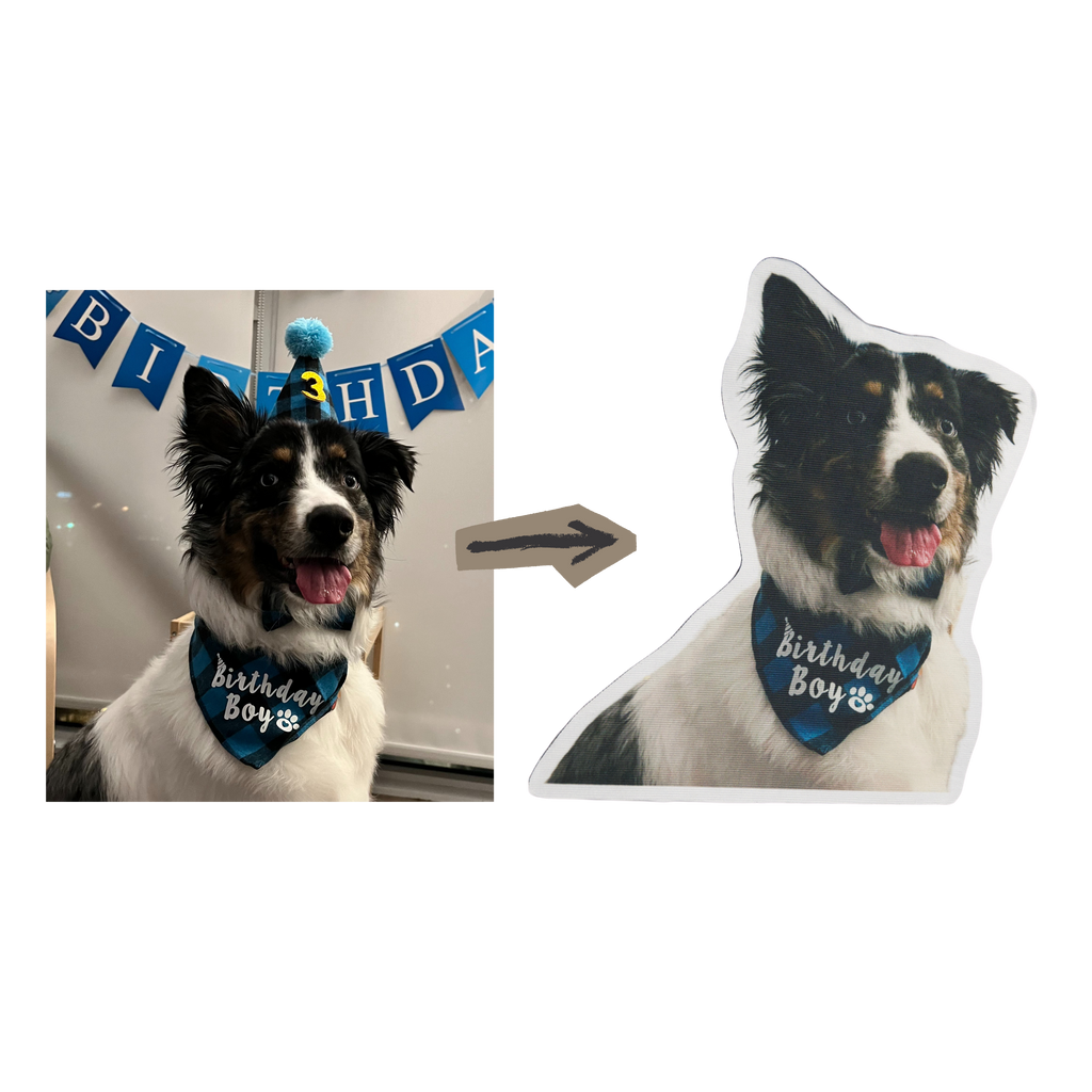 Custom Photo Mat – Turn Your Favorite Picture Into a Personalized Floor Mat