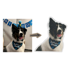 Custom Photo Mat – Turn Your Favorite Picture Into a Personalized Floor Mat