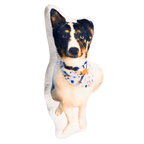 Custom Shape Pillow – Turn Any Photo Into a Personalized Pillow