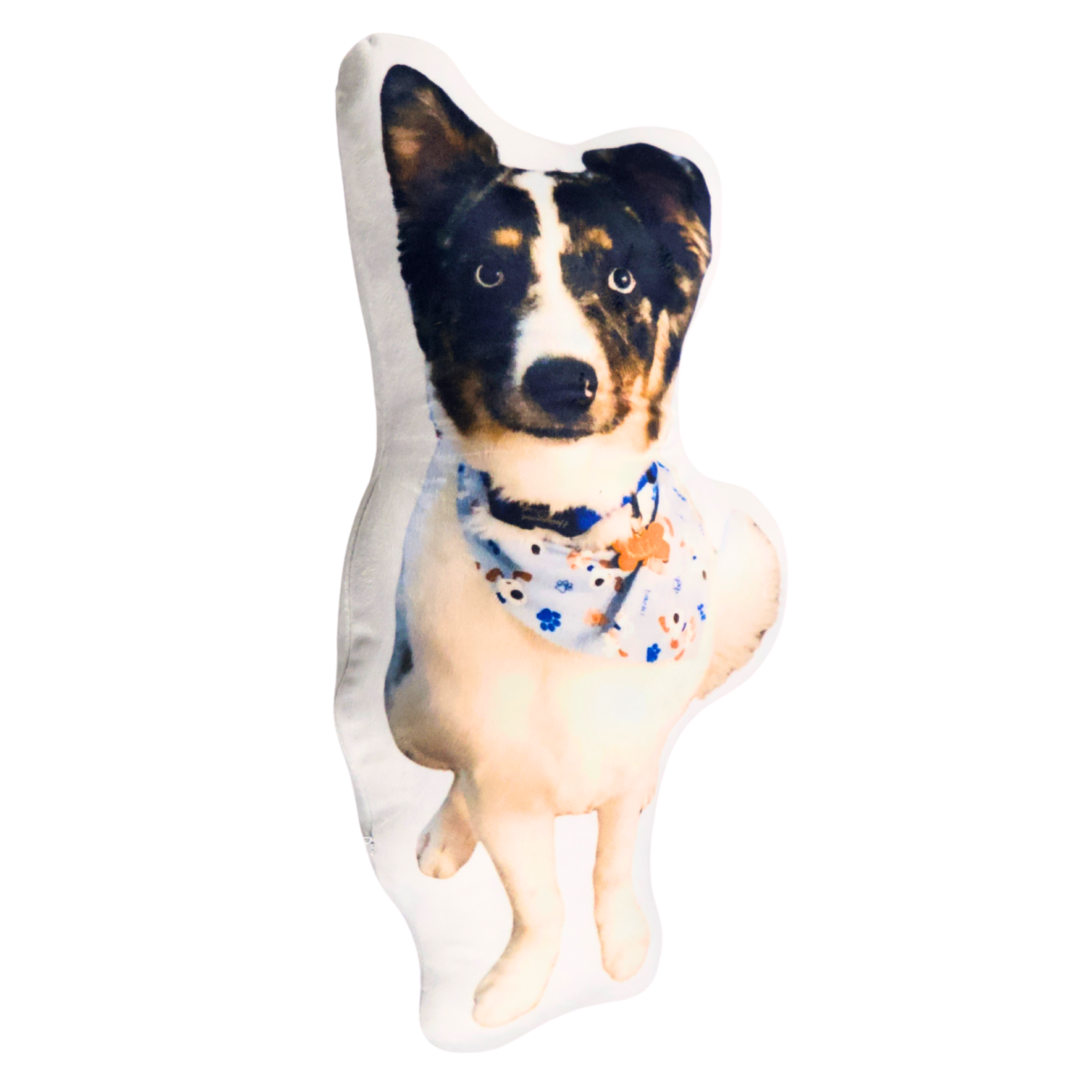 Custom Shape Pillow – Turn Any Photo Into a Personalized Pillow