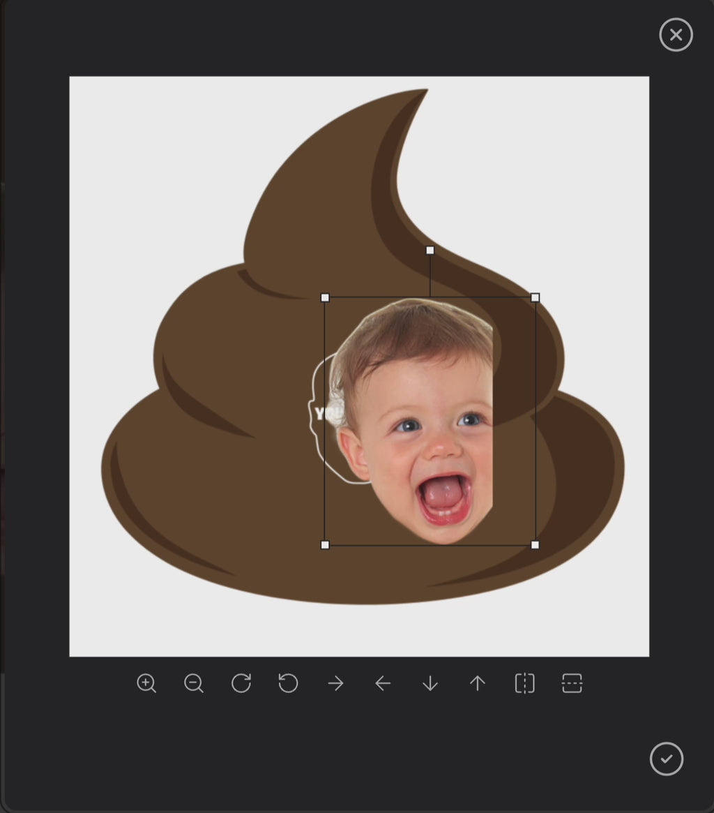 Personalized Funny Poop Pillow – Add Your Face