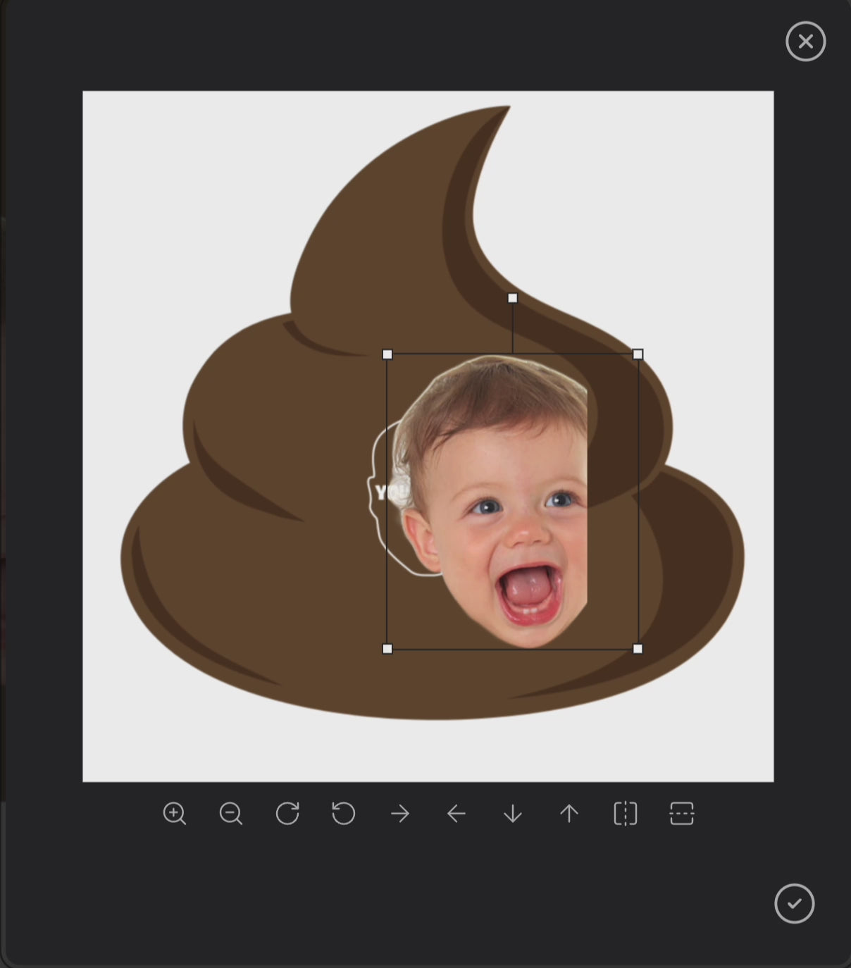 Personalized Funny Poop Pillow – Add Your Face